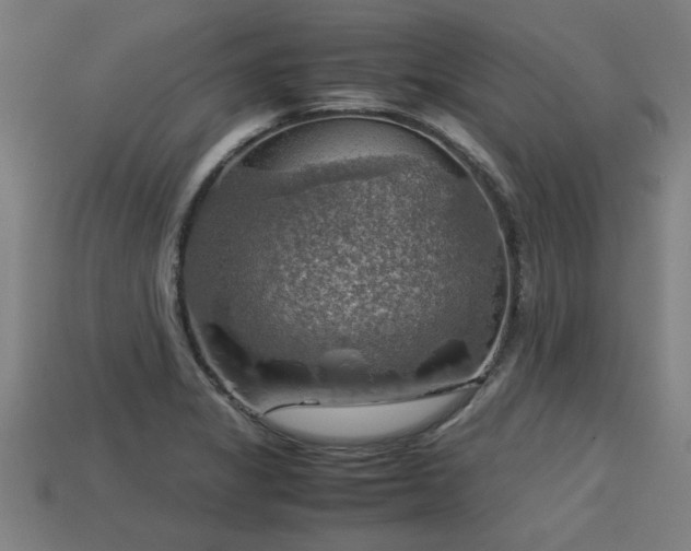 X0000113591325200909251128