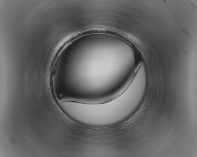 X0000113591326200909251128