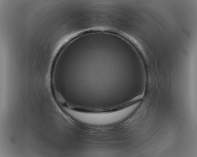 X0000113591327200909251128