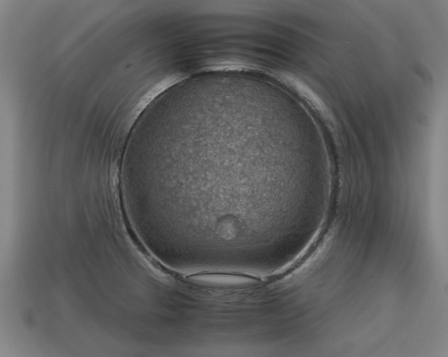 X0000113591329200909251128