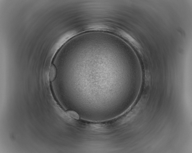 X0000113591330200909251128