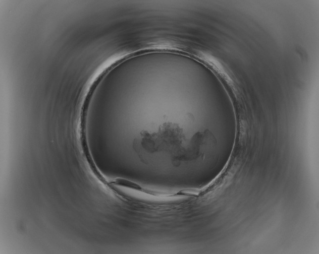 X0000113591331200909251128