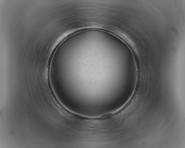 X0000113591332200909251128