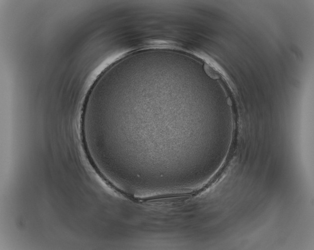 X0000113591333200909251128