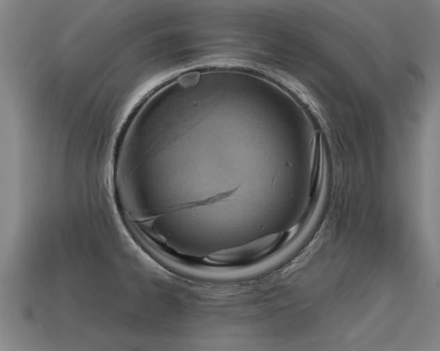 X0000113591334200909251128