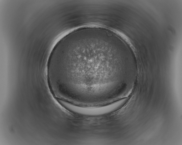 X0000113591335200909251128