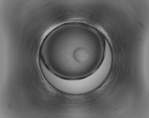 X0000113591336200909251128