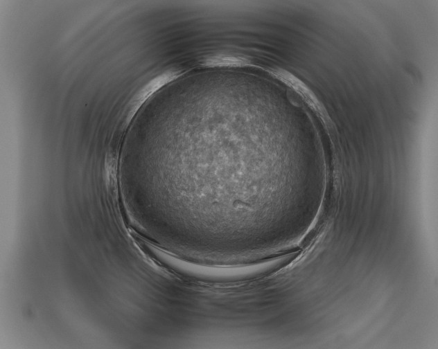 X0000113591337200909251128