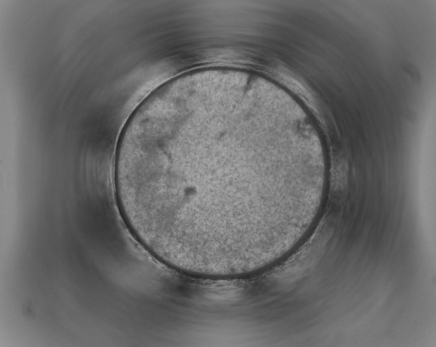 X0000113591338200909251128