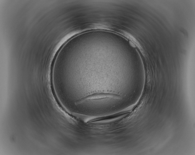 X0000113591339200909251128