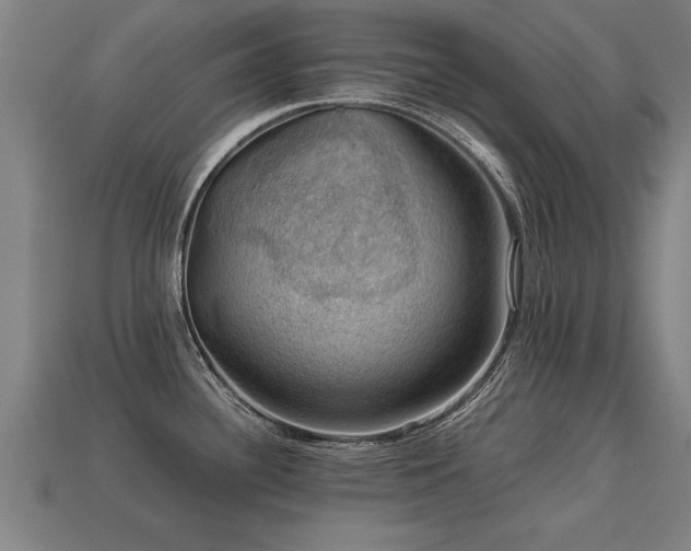 X0000113591340200909251128