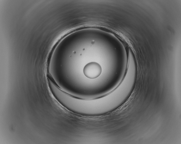 X0000113591342200909251128