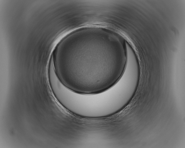 X0000113591344200909251128