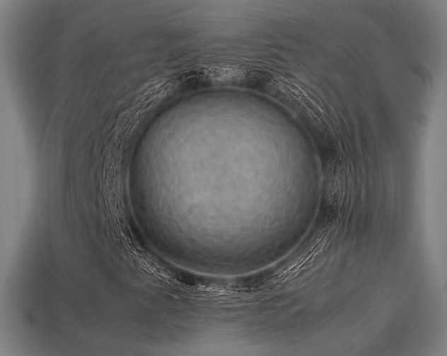 X0000113591345200909251127