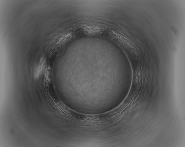 X0000113591346200909251127