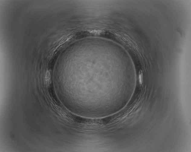 X0000113591347200909251127