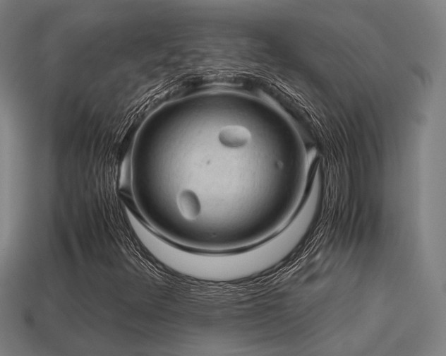 X0000113591348200909251127