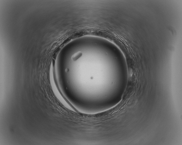 X0000113591349200909251127