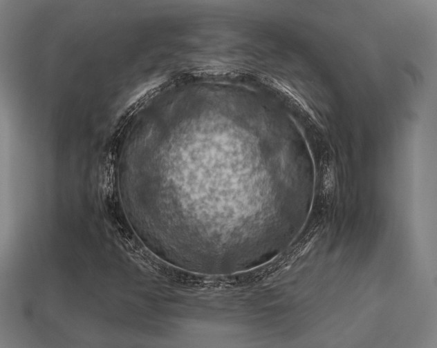 X0000113591350200909251127