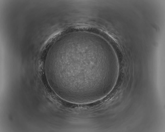 X0000113591351200909251127