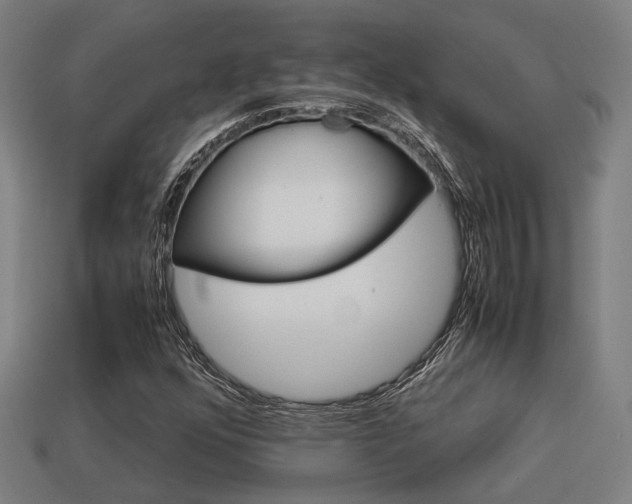 X0000113591352200909251127