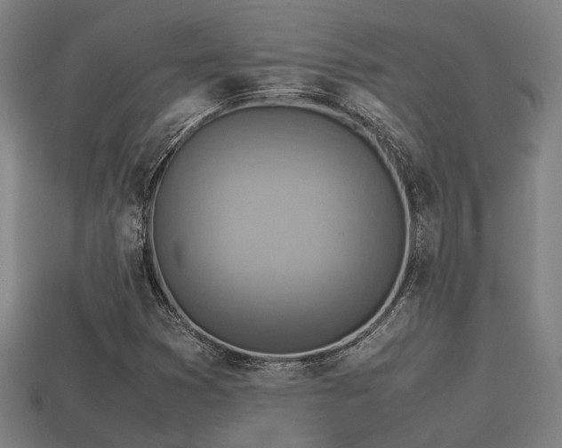 X0000113591353200909251127