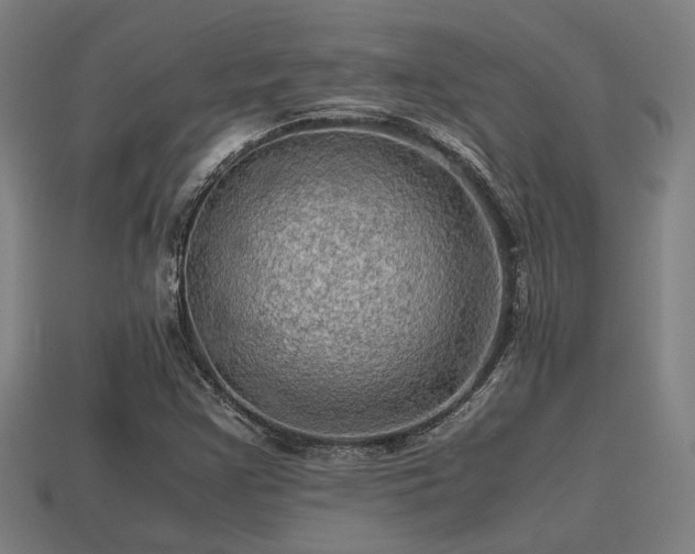 X0000113591355200909251127