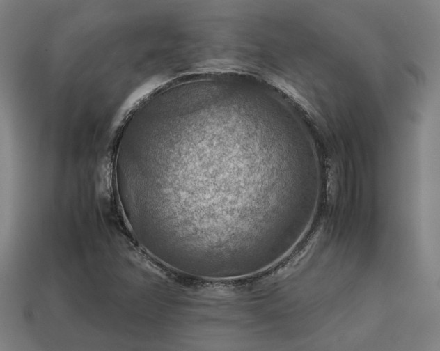 X0000113591358200909251127