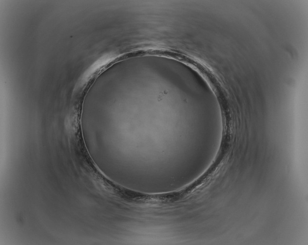 X0000113591359200909251127