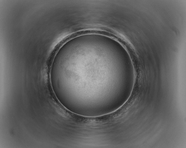 X0000113591360200909251127