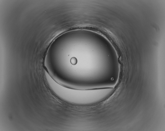 X0000113591361200909251127