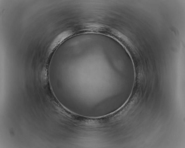 X0000113591362200909251127