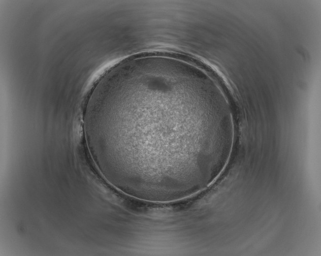 X0000113591363200909251127