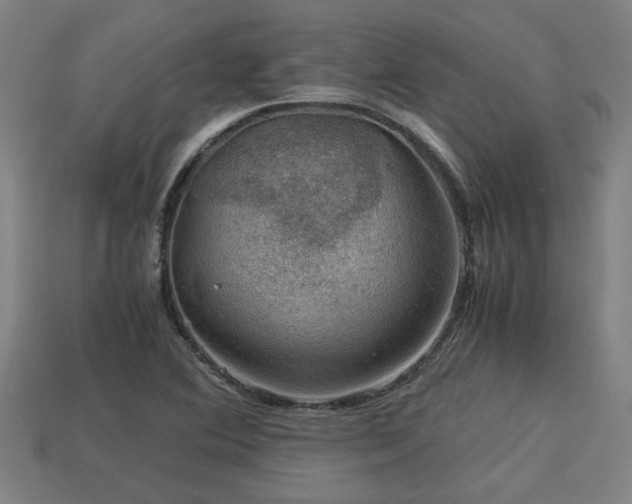 X0000113591364200909251127