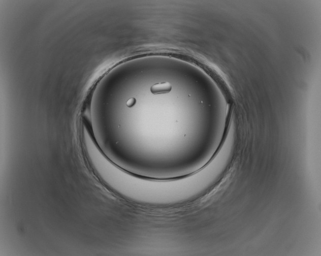 X0000113591365200909251127