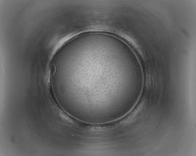 X0000113591366200909251127