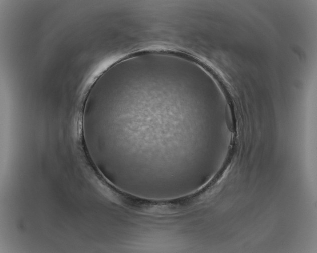 X0000113591367200909251127