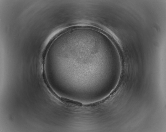 X0000113591368200909251127