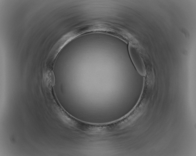 X0000113591369200909251127