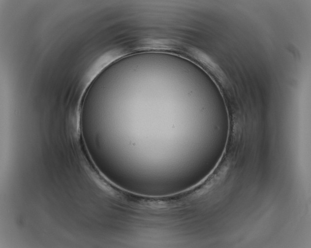 X0000113591370200909251127