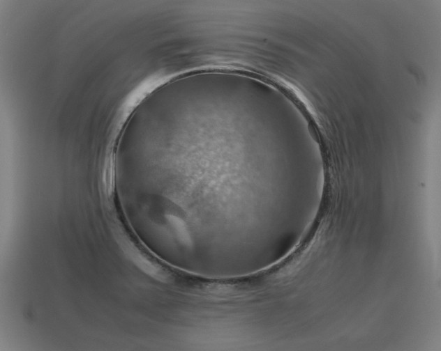 X0000113591371200909251127