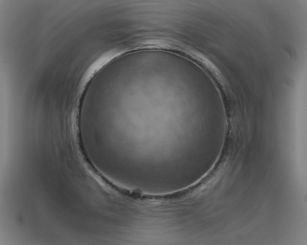 X0000113591373200909251127