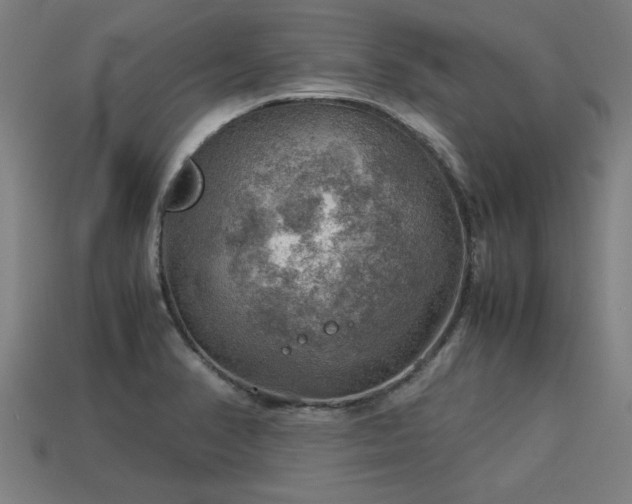 X0000113591374200909251127