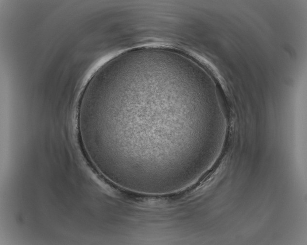 X0000113591375200909251127