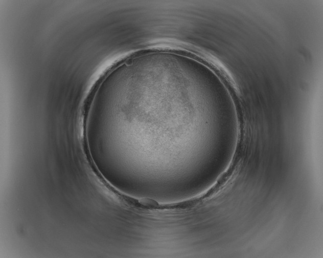 X0000113591376200909251127