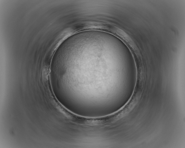 X0000113591377200909251127