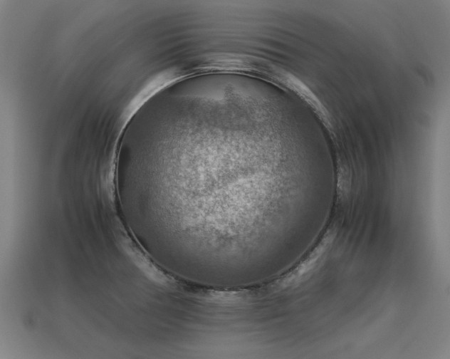 X0000113591378200909251127