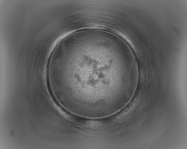 X0000113591379200909251127