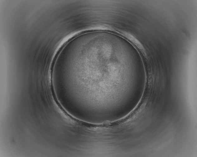 X0000113591380200909251127