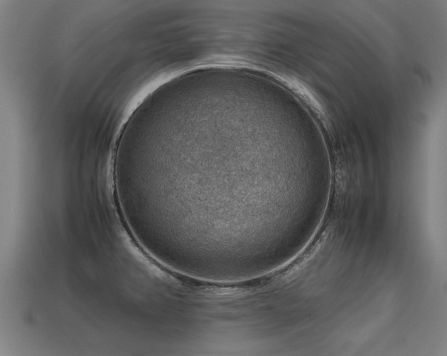 X0000113591382200909251127